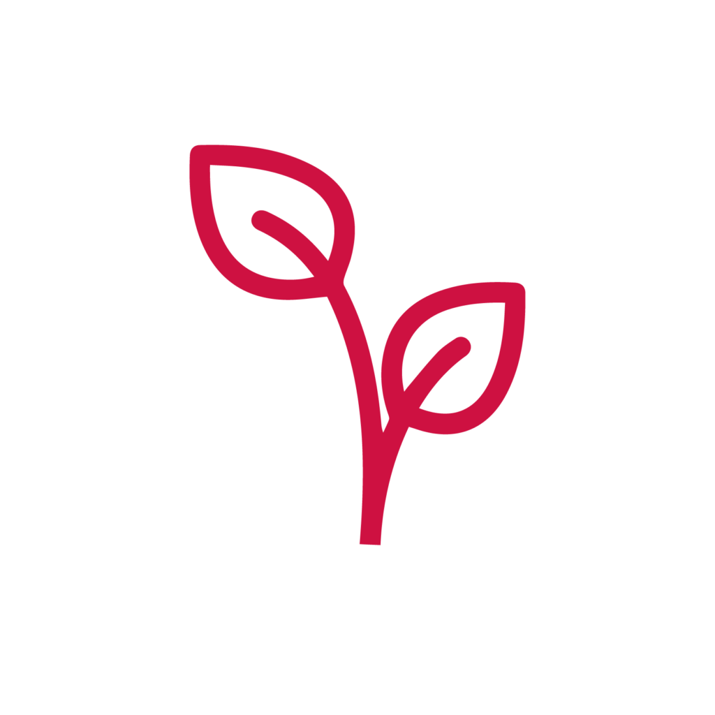 Ihr Coaching-Business ausbauen